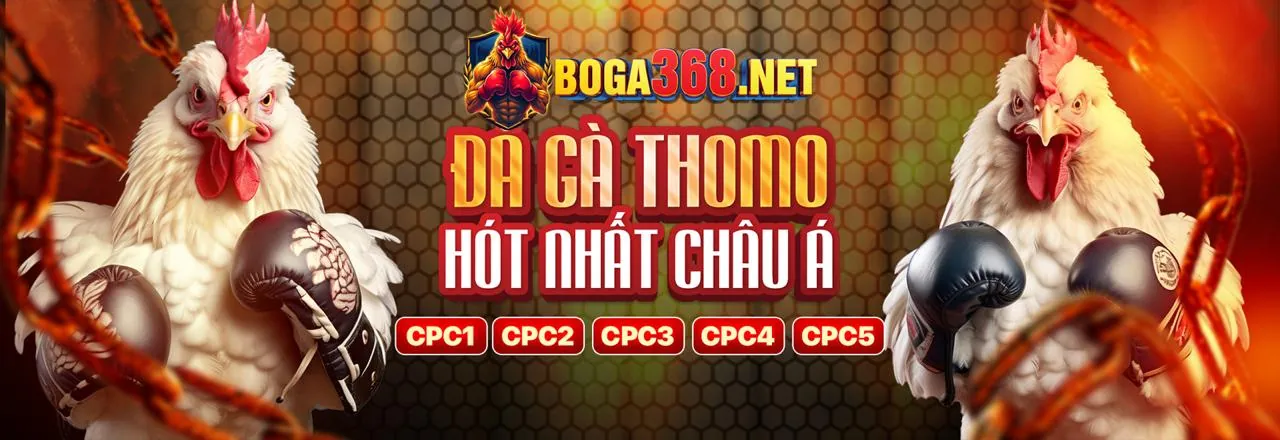 Các môn thể thao đa dạng tại Vin89